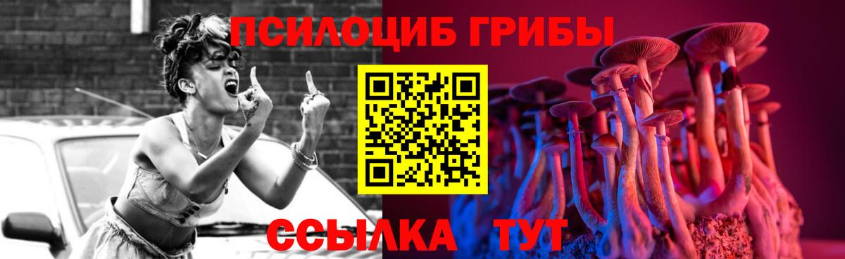 Псилоцибиновые грибы GOLDEN TEACHER  Вход с VPN  купить наркоту  Калининград 