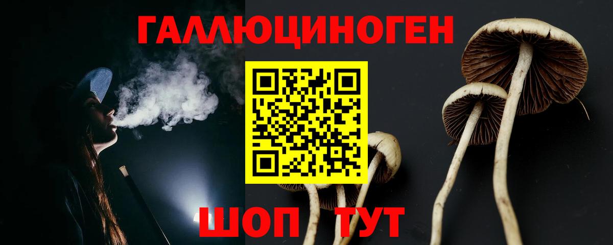 Псилоцибиновые грибы ЛСД Калининград